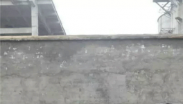 無(wú)法無(wú)天！紅獅水泥暴力阻撓取證