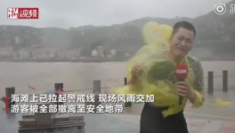 霸王級(jí)臺(tái)風(fēng)席卷多省份!近1000家水泥銷售受影響！  