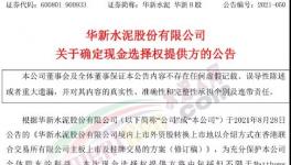 大事！海螺“出手”華新！