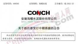 缺錢！海螺子公司“架空”！“借錢”100億 ！