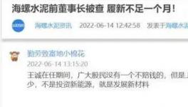 海螺蒸發(fā)1300億，逾700億元投資或存變數(shù)！