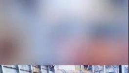 殺公雞！開窯！水泥廠“辟邪”！