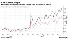 瘋了！這種原料價格破紀錄！水泥廠“哭了”！