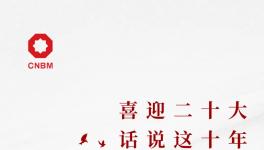 喜迎二十大:話說這十年，專業(yè)化整合深入推進(jìn) 產(chǎn)業(yè)布局不斷優(yōu)化