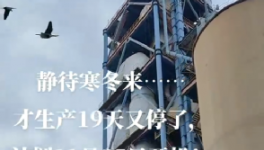 全停！最長200天！20個省水泥廠停產(chǎn)！