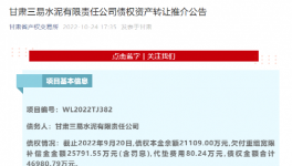 公告！多家水泥廠(chǎng)被賣(mài)！