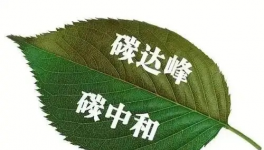 縫出匠心！這家環(huán)保企業(yè)脫穎而出！市場(chǎng)占有率名列前茅！