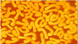 對比明顯，這個材料完勝！最長可用8年，節(jié)約電費(fèi)百萬！