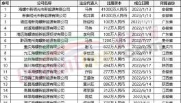 瘋狂！“上下”通吃！海螺連續(xù)成立50多家公司！