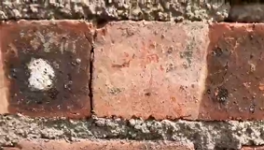 氣憤！“山寨”水泥！“假水泥”泛濫！