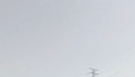 太慘！210元/噸低價(jià)水泥“傾銷”！停產(chǎn)來“救市”！