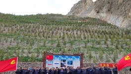 昌都高爭(zhēng)開(kāi)展“黨旗飄，礦山綠”主題活動(dòng)