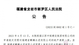 扛不?。∵@50多家水泥廠破產(chǎn)！