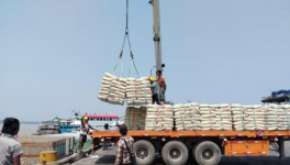 3000噸進(jìn)口水泥抵達(dá)，這一地區(qū)水泥降價(jià)！