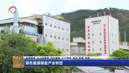 海螺水泥兩家工廠同一天都上電視啦！