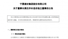 寧夏建材多位高管變動！董事長王玉林因工作調(diào)整離任！